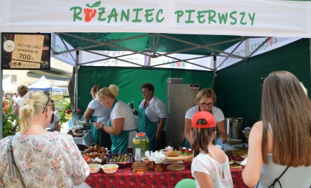 Witosowy Dzień Pola