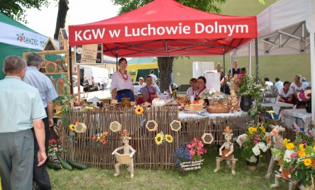 Witosowy Dzień Pola