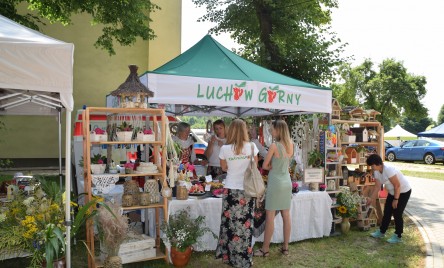 Witosowy Dzień Pola