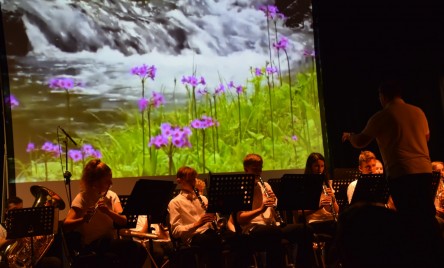 Święto Niepodległości w Tarnogrodzie