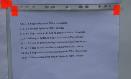 V Tarnogrodzkie Biegi Plenerowe