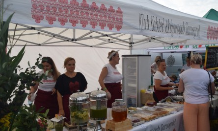 Święto Plonów w gminie Tarnogród