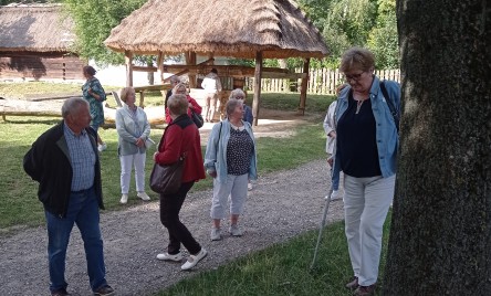 A seniorzy podróżują...