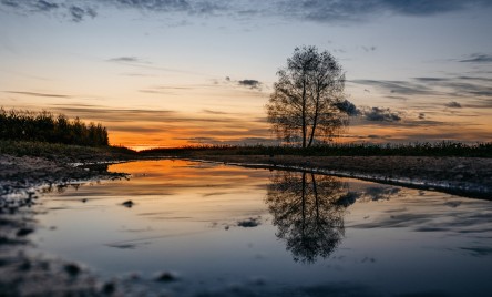 WYNIKI KONKURSU FOTOGRAFICZNEGO MAGIA SWOJSKICH ZAKĄTKÓW