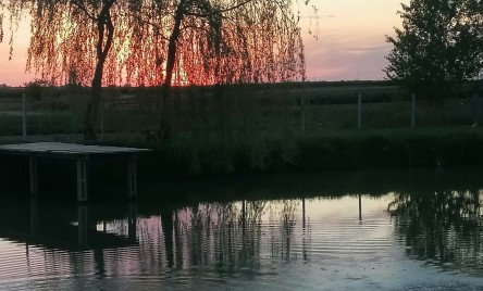 Kinga Harmida, Staw w Woli Różanieckiej