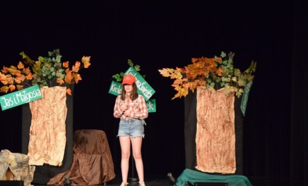 Powiatowe święto teatrów dziecięcych i młodzieżowych