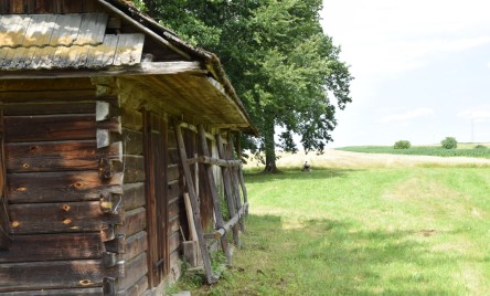 Warsztaty malarskie w Tarnogrodzie