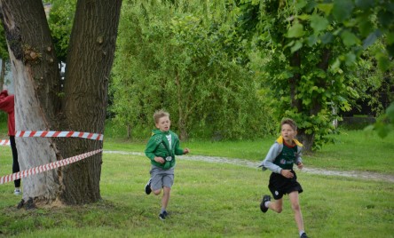 VIII TARNOGRODZKIE BIEGI PLENEROWE 2025