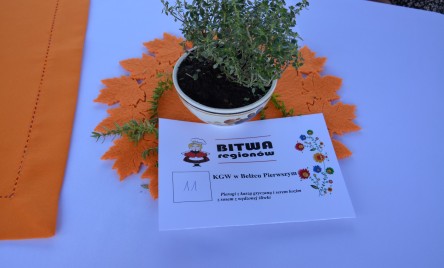 BITWA REGIONÓW 2025. ETAP I. Tarnogród, 6 lipca 2025