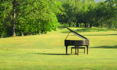 Chopin w Tarnogrodzie