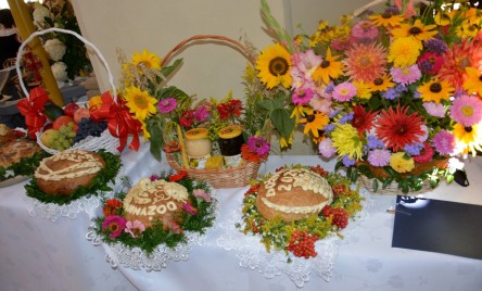 Dożynki Gminy Tarnogród i 100-lecie OSP Różańca Pierwszego