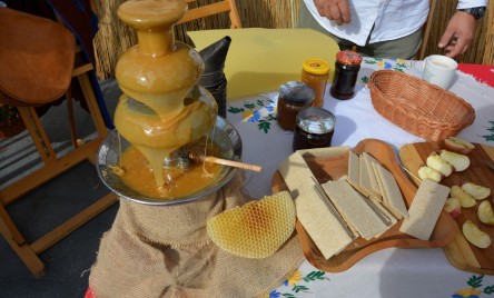 Bolesław Chrobry na III Tarnogrodzkim Pikniku Historycznym 