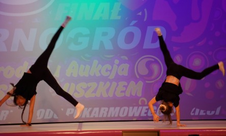 FINAŁ WIELKIEJ ORKIESTRY ŚWIĄTECZNEJ POMOCY 2026-AUKCJE I WYSTĘPY ARTYSTYCZNE