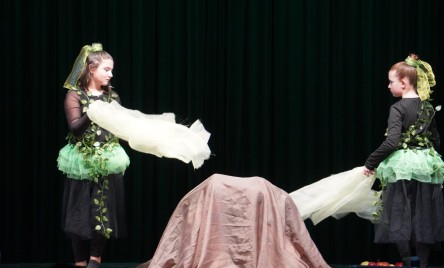 25. POWIATOWY PRZEGLĄD TEATRÓW DZIECIĘCYCH I MŁODZIEŻOWYCH-ELIMINAJCJE POWIATOWE