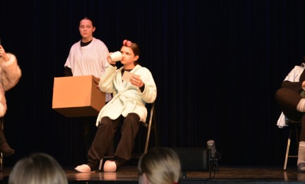 25. POWIATOWY PRZEGLĄD TEATRÓW DZIECIĘCYCH I MŁODZIEŻOWYCH-ELIMINAJCJE POWIATOWE